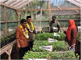 PENGELOLAAN KEGIATAN PEMBIBITAN DI  KWT KRANGGAN 